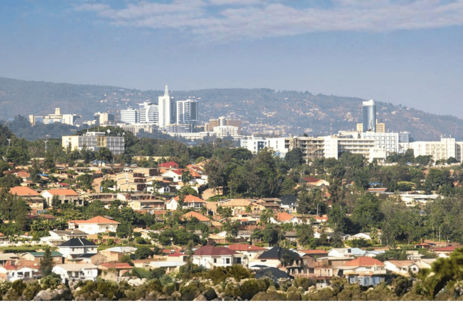 Untitled design (18)