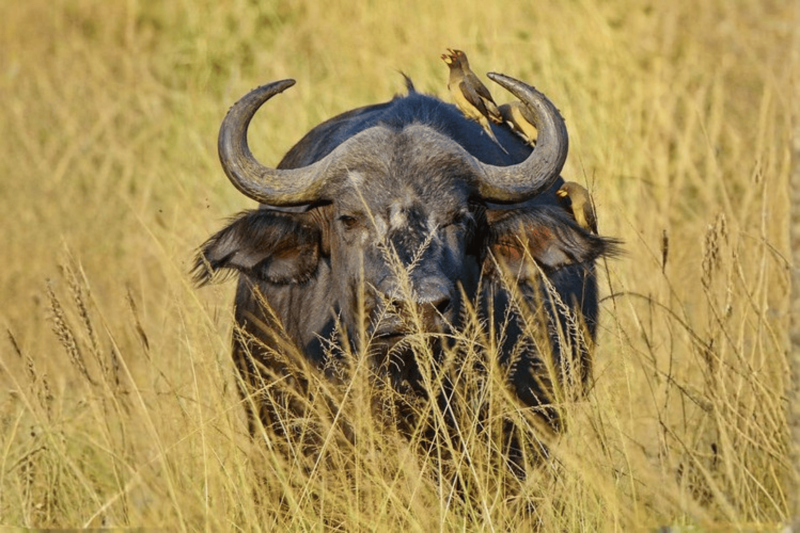 Untitled design (20)