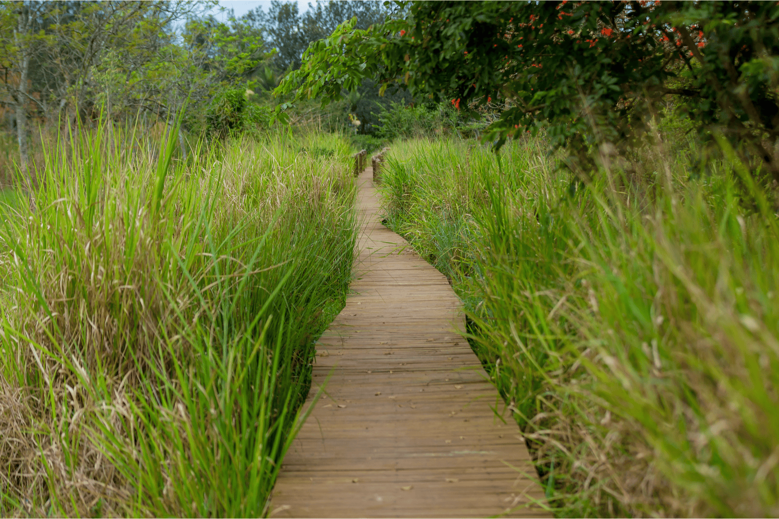 Untitled design (41)