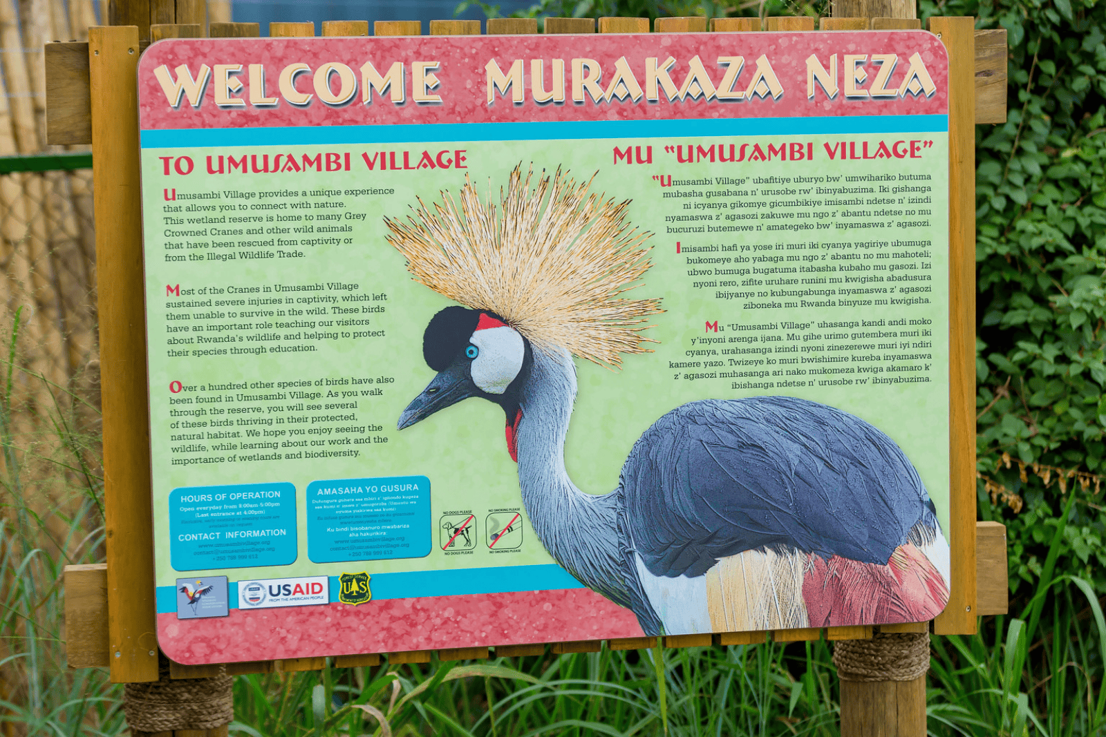 Untitled design (42)