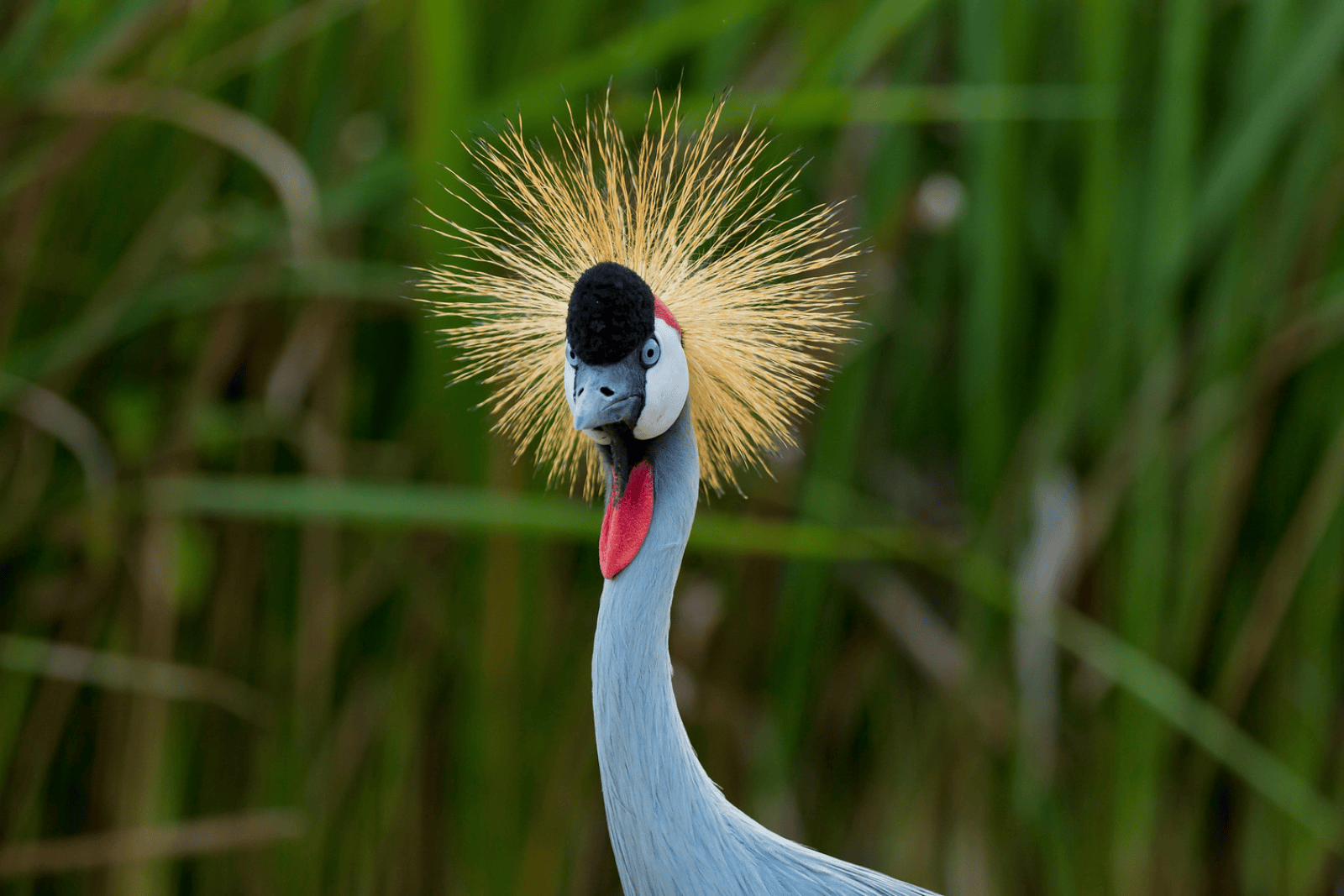 Untitled design (43)