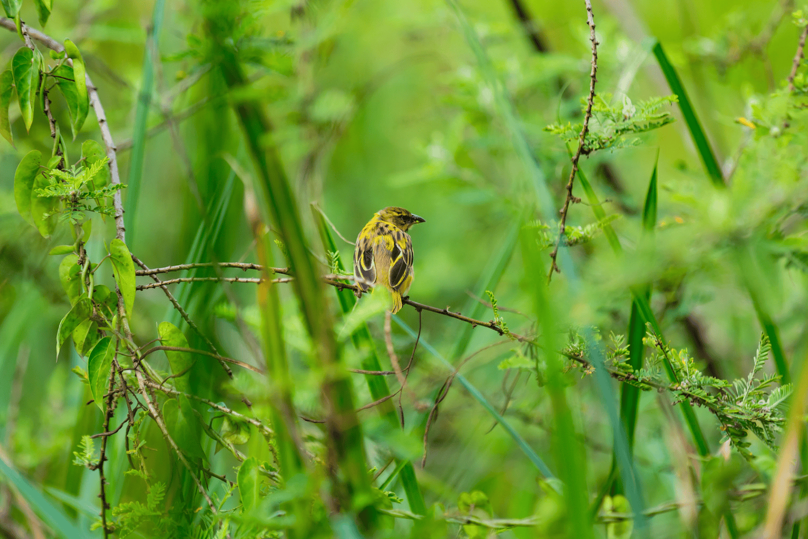 Untitled design (44)