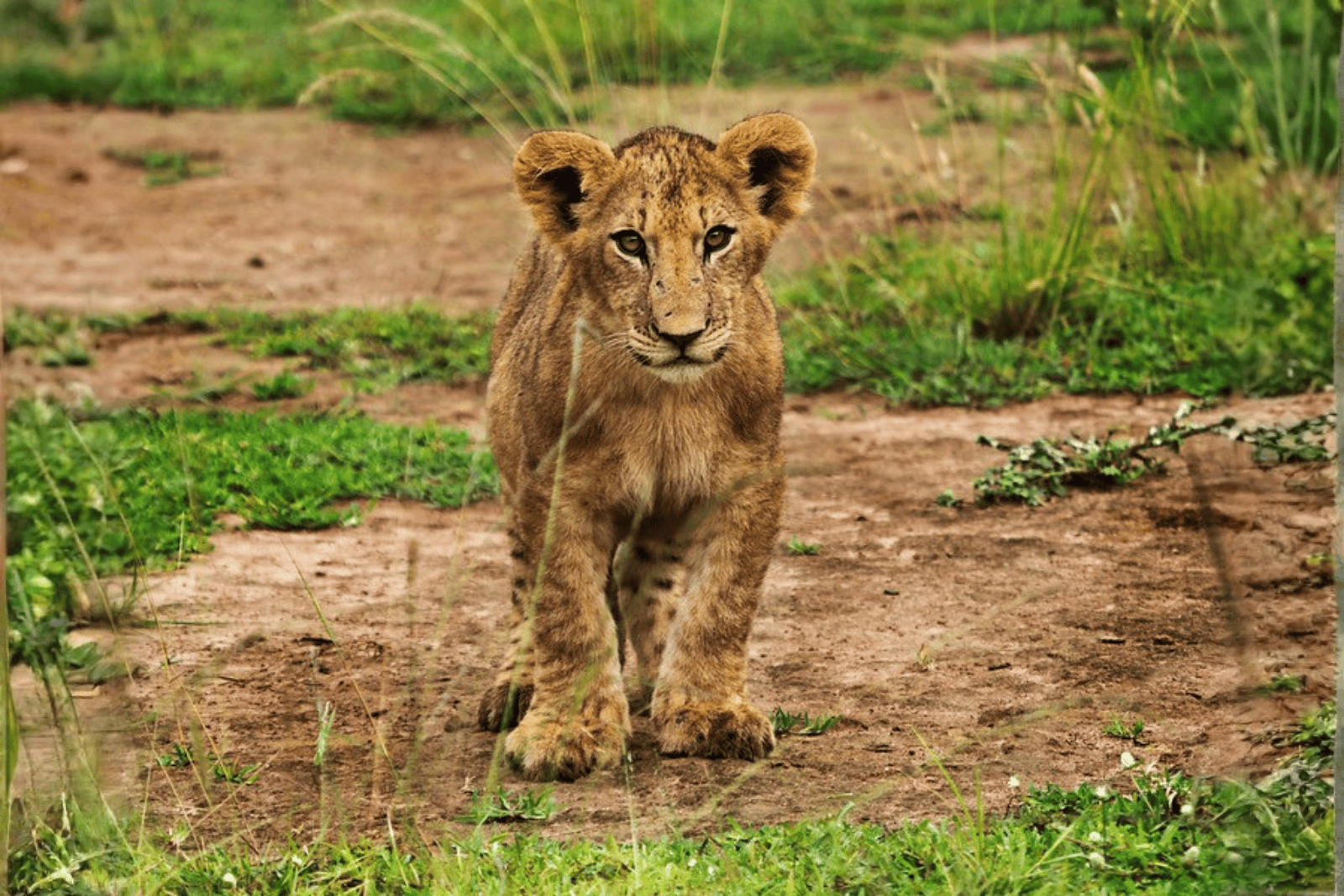 Untitled design (46)