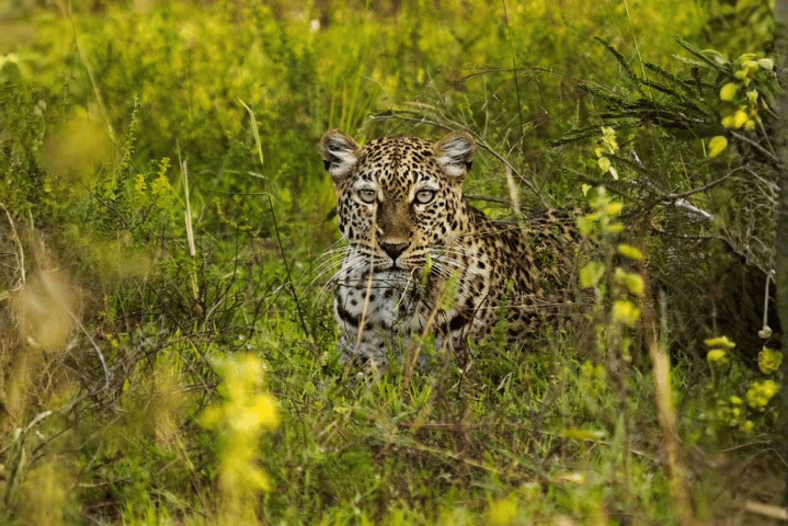 Untitled design (47)