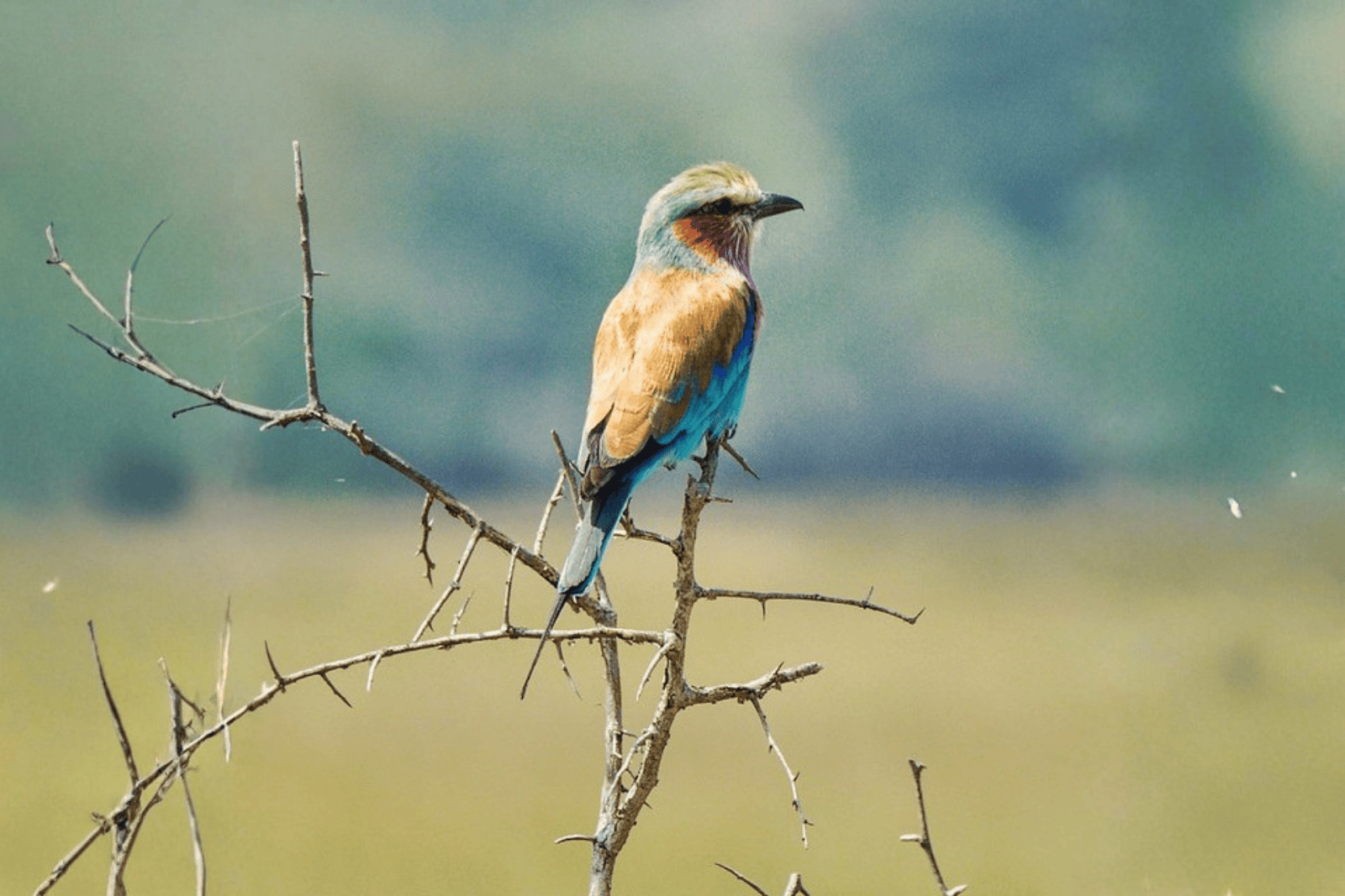 Untitled design (48)