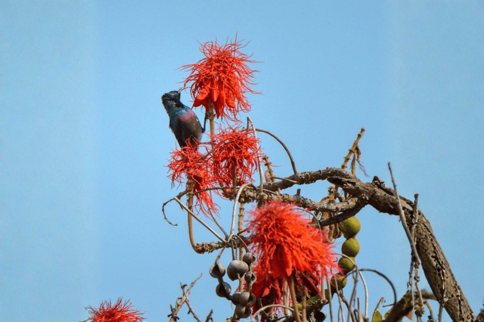 Untitled design (49)