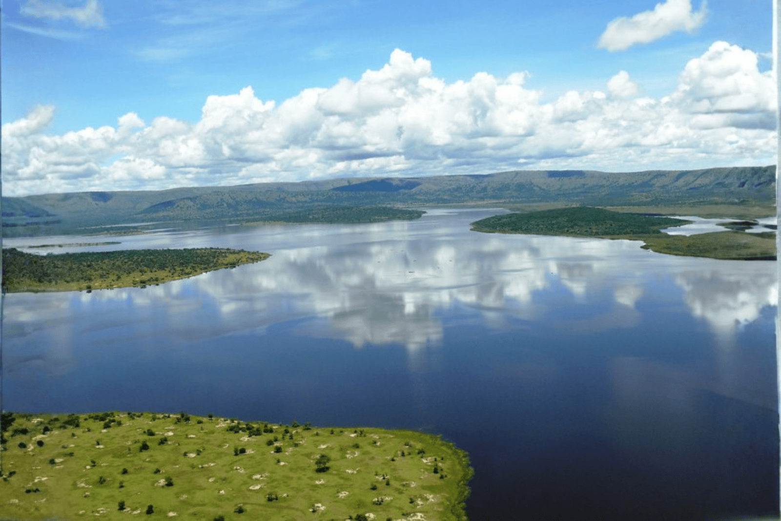 Untitled design (50)