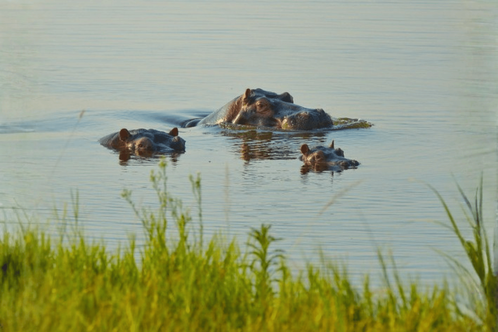 Untitled design (51)