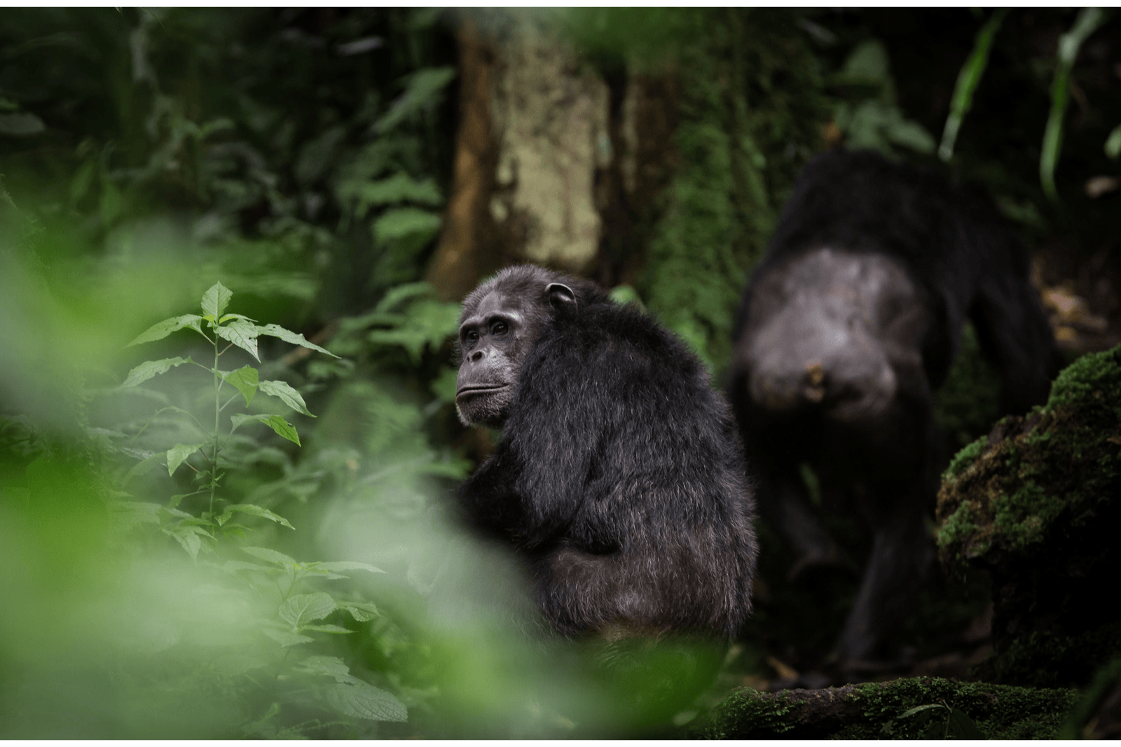 Untitled design (21)